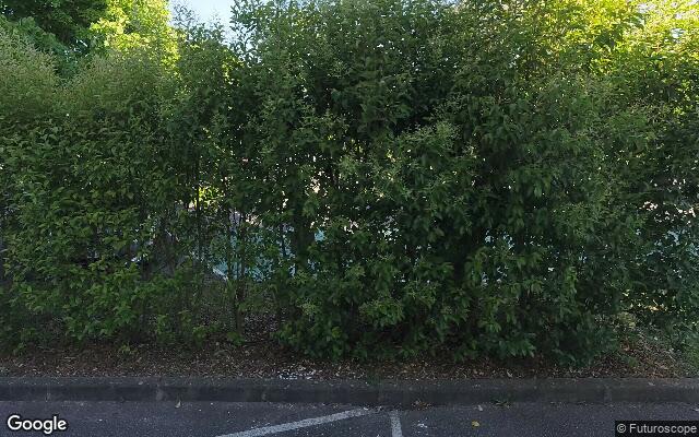 Picture of the location