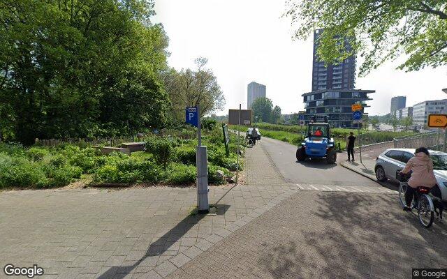 Picture of the location