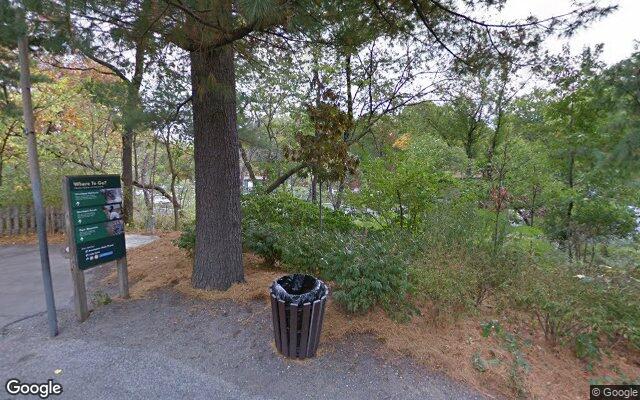 Picture of the location