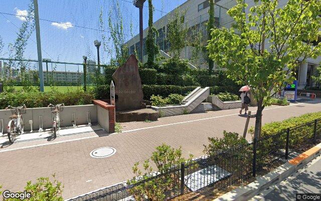 Picture of the location