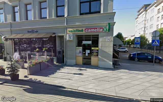 Picture of the location