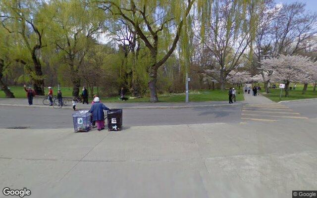 Picture of the location