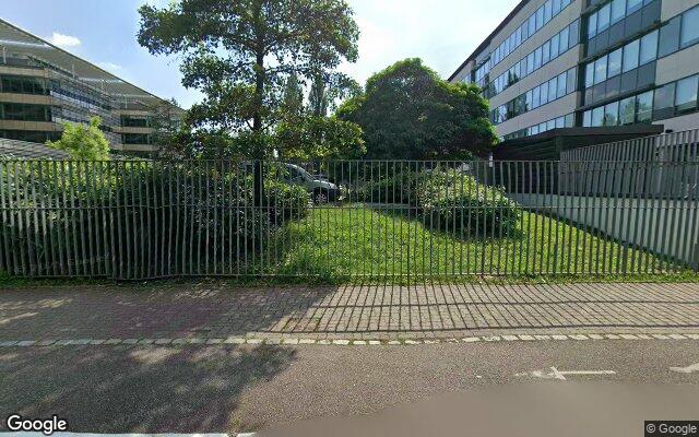 Picture of the location