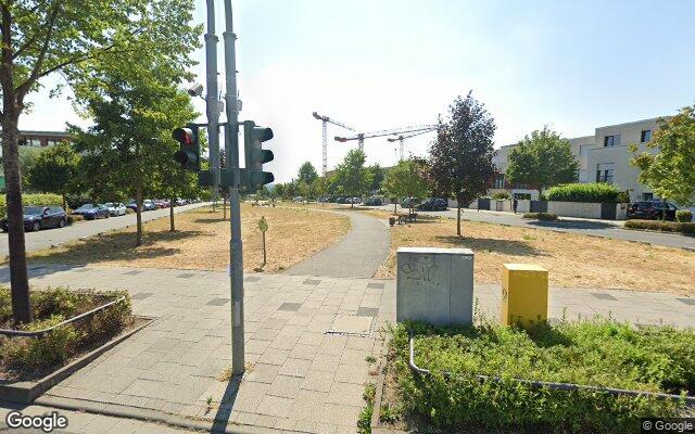 Picture of the location