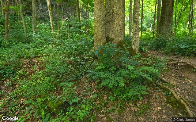 Picture of the location