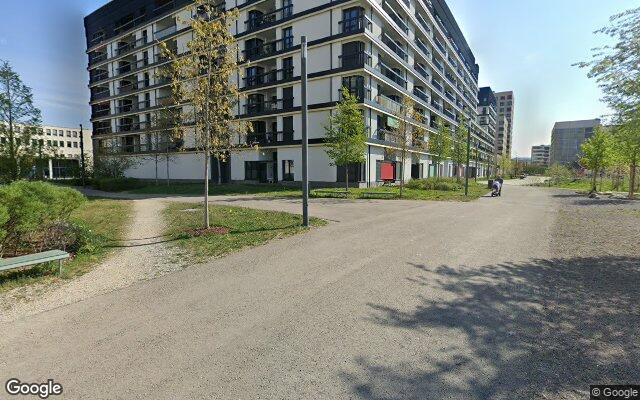 Picture of the location