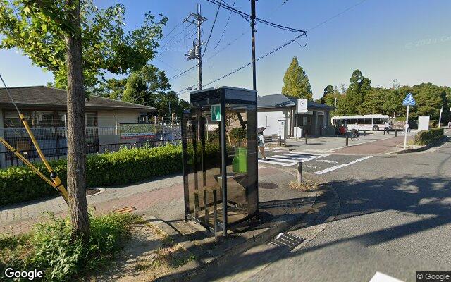 Picture of the location