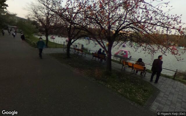 Picture of the location