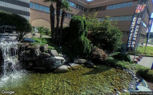 Picture of the location