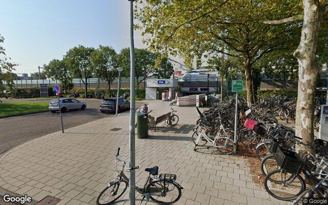 Picture of the location