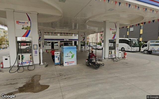 Picture of the location