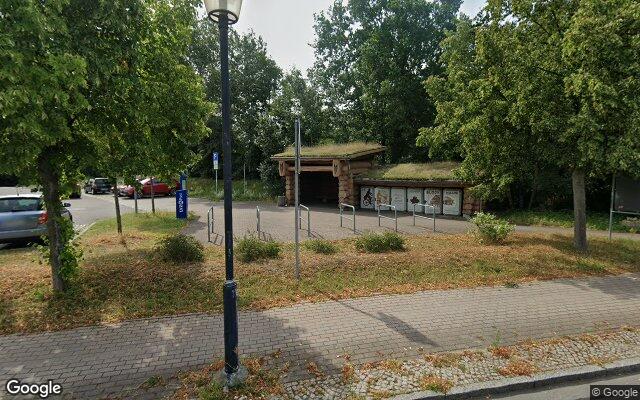 Picture of the location