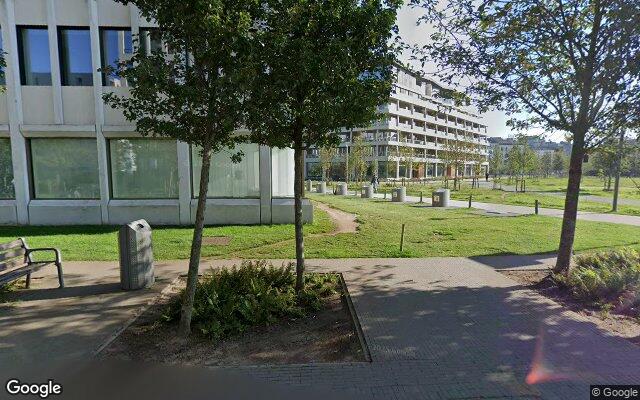 Picture of the location