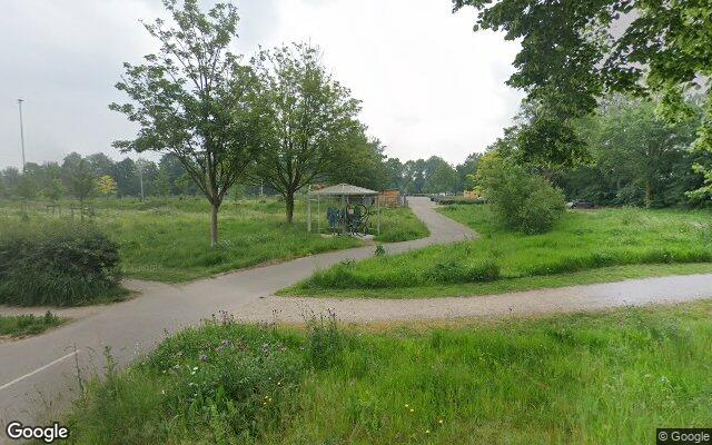 Picture of the location