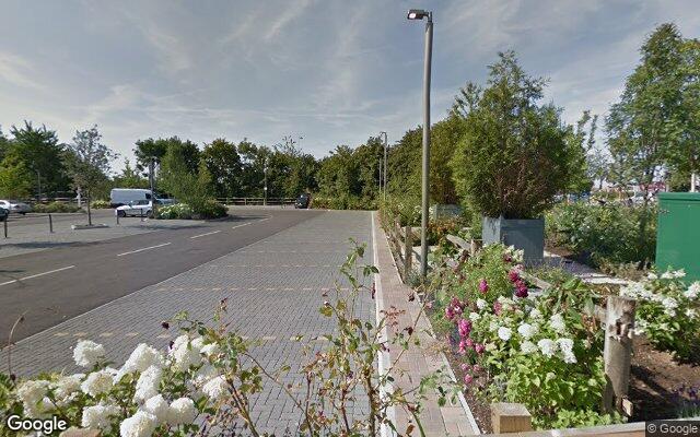 Picture of the location