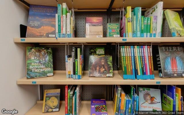 Picture of the location